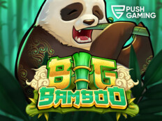 Bingo casino online26